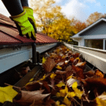 The Scottish Single Survey And Home Reports