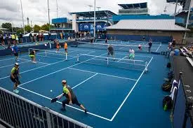 Celebrity Pickleball Investments: How Stars Like LeBron James Are Changing the Game